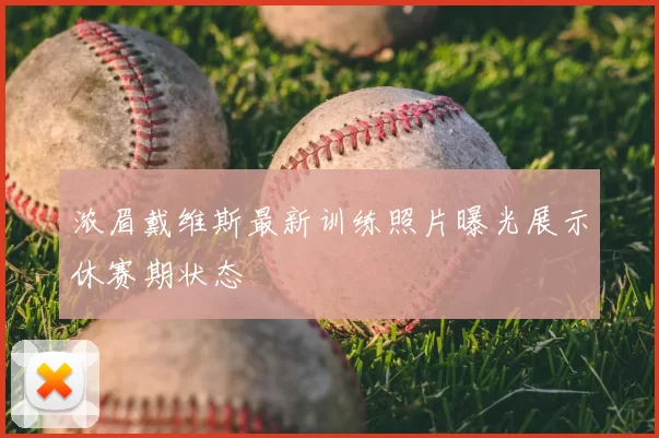 浓眉戴维斯最新训练照片曝光展示休赛期状态