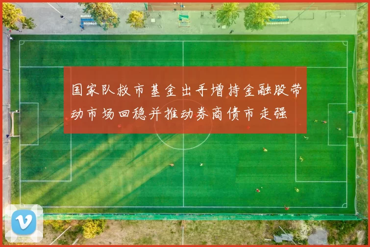 国家队救市基金出手增持金融股带动市场回稳并推动券商债市走强