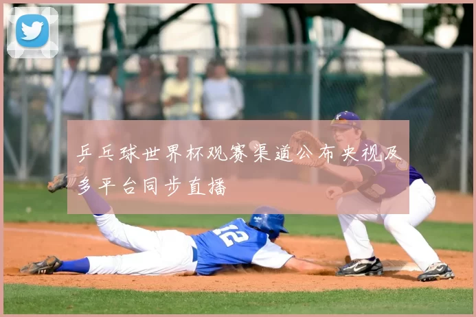 乒乓球世界杯观赛渠道公布央视及多平台同步直播