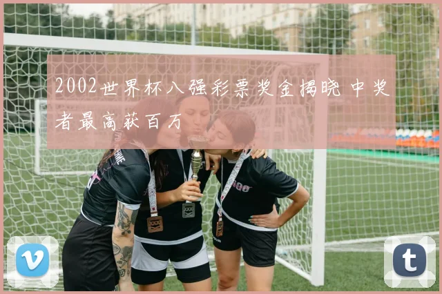 2002世界杯八强彩票奖金揭晓 中奖者最高获百万