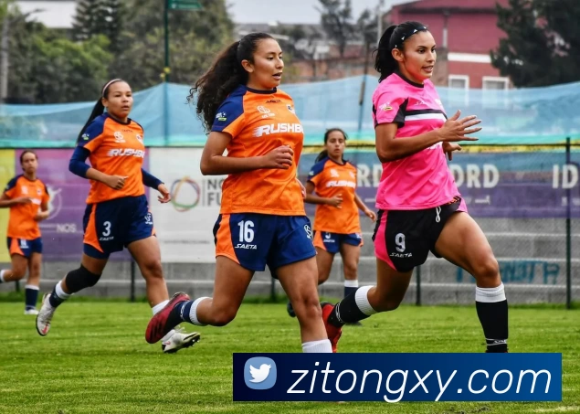 世界杯足球赛官网平台生态图